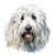 Komondor (2) Poster Canvas Print Art Painting Decor Reprint wall A0 A1 A2 A3 A4