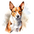 Basenji (2) Poster Canvas Movie Film Print A0 A1 A2 A3 A4 A5 A6 Art Wall Decorat