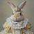 a rabbit in a royal outfit. The rabbit has a rich, detailed golden crown with a