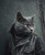Darkness Pet PortraitRenaissance Pet Portrait from PhotoCustom Funny Canvas Roya