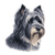 281 Skye Terrier Poster Canvas Movie Film Print A0 A1 A2 A3 A4 A5 A6 Art Wall De