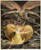 William Blake - The Great Red Dragon and the Woman Clothed with the Sun Poster C