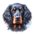 205 Gordon Setter Poster Canvas Movie Film Print A0 A1 A2 A3 A4 A5 A6 Art Wall D