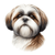 22 Shih Tzu Poster Canvas Movie Film Print A0 A1 A2 A3 A4 A5 A6 Art Wall Decorat