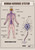Human nervous system 2 Poster Canvas Movie Film Print A0 A1 A2 A3 A4 A5 A6 Art W