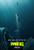 The Meg (2018)_2 Poster Canvas Movie Film Print A0 A1 A2 A3 A4 A5 A6 Art Wall De