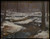 sharell-j-benson--mississippi-backwaters--jpb_14998728416_o(1) Poster Canvas Mov