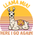 A220313-01-Llama-Mia-Here-I-Go-Again-Funny-Llama (2) Poster Canvas Movie Film Pr