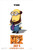 Despicable Me 2 (2013)_10 Movie Film Poster Canvas iconic design