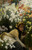 James_Tissot_-_Chrysanthemums Poster Canvas Movie Film Print A0 A1 A2 A3 A4 A5 A