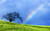 Rainbow_006 Poster Canvas Movie Film Print A0 A1 A2 A3 A4 A5 A6 Art Wall Decorat