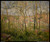 camille-pissarro---wooded-landscape-at-lhermitage-pontoise--jpb_15323001479_o(1)