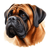 112 Bullmastiff Poster Canvas Movie Film Print A0 A1 A2 A3 A4 A5 A6 Art Wall Dec