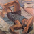 Salvador Dali - Bather 1924 Poster Canvas Movie Film Print A0 A1 A2 A3 A4 A5 A6