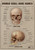Human Skull Bones 1 Poster Canvas Movie Film Print A0 A1 A2 A3 A4 A5 A6 Art Wall