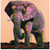 ANDY WARHOL (American, 1928-1987). African Elephant, 1983 Poster Canvas Print Ar