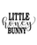 Little Honey Bunny-01 (2) Poster Canvas Movie Film Print A0 A1 A2 A3 A4 A5 A6 Ar