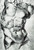 Bernini Drawing of the Laocoon Poster Canvas Movie Film Print A0 A1 A2 A3 A4 A5