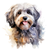 Havanese (2) Poster Canvas Print Art Painting Decor Reprint wall A0 A1 A2 A3 A4