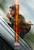 Mission Impossible Dead Reckoning (12) Poster Canvas Movie Film Print A0 A1 A2 A