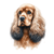 153 Cocker Spaniel Poster Canvas Movie Film Print A0 A1 A2 A3 A4 A5 A6 Art Wall
