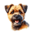 188 Border Terrier Poster Canvas Movie Film Print A0 A1 A2 A3 A4 A5 A6 Art Wall