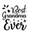 BEST GRANDMA EVER-01 (2) Poster Canvas Movie Film Print A0 A1 A2 A3 A4 A5 A6 Art