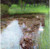 Gustav Klimt - The Marshy Pond 1900 Poster Canvas Movie Film Print A0 A1 A2 A3 A