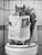 Squirrel on Toilet-BlackAndWhite-3by4 Poster Canvas Funny Annimals Pritnt A0 A1
