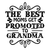 the best moms get promoted to grandma-01 Poster Canvas Movie Film Print A0 A1 A2