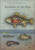 Fish anatomy 3 Poster Canvas Movie Film Print A0 A1 A2 A3 A4 A5 A6 Art Wall Deco