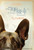 A Dog_s Purpose (2017)_7 Movie Film Poster Canvas iconic design