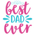 best dad ever-01 (2) Poster Canvas Movie Film Print A0 A1 A2 A3 A4 A5 A6 Art Wal