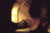 Philosopher_in_Meditation_Rembrandt_1632 Poster Canvas Movie Film Print A0 A1 A2