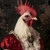 Regal Rooster with a detailed and ornate red fabric garment. The background is