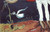 Salvador Dali - Putrefied bird 1928 Poster Canvas Movie Film Print A0 A1 A2 A3 A
