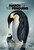 March of the Penguins (2005)_1 Poster Canvas Movie Film Print A0 A1 A2 A3 A4 A5