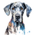 Great Dane (2) Poster Canvas Print Art Painting Decor Reprint wall A0 A1 A2 A3 A