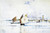 venice Poster Canvas Movie Film Print A0 A1 A2 A3 A4 A5 A6 Art Wall Decoration