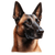 145 Belgian Malinois Poster Canvas Movie Film Print A0 A1 A2 A3 A4 A5 A6 Art Wal