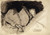 Pablo Picasso - Couple Entwined 1901 Poster Canvas Movie Film Print A0 A1 A2 A3