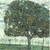 Gustav Klimt - Apple Tree II 1916 Poster Canvas Movie Film Print A0 A1 A2 A3 A4