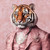 Gentelman Tiger with a pink suit and bow-tie. Poster Canvas Movie Film Print A0