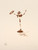 Salvador Dalí (1904-1989). Symbols, 1970 Picture 5 Poster Canvas Movie Film Prin