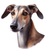 161 Greyhound Poster Canvas Movie Film Print A0 A1 A2 A3 A4 A5 A6 Art Wall Decor