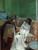 Degas- The Pedicurist- 1873 Art Gallery Poster Canvas Print Wall Decoration A0 A