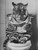 Tiger on Toilet-BlackAndWhite-3by4 Poster Canvas Funny Annimals Pritnt A0 A1 A2