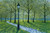 Peter Ellenshaw - Green Park London 1993 Poster Canvas Movie Film Print A0 A1 A2