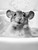 MouseInBathtub-3by4 Poster Canvas Funny Annimals Pritnt A0 A1 A2 A3 A4 A5 A6