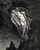Dore_Gustave_15_Bard_willingly_I_would_address_those_two_tog Art Gallery Poster